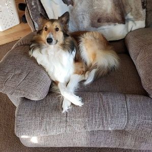 Meet your Posher, Dan